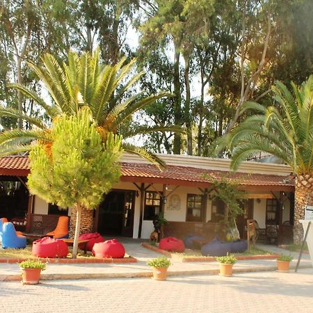 Medusa Camping Πάταρα Εξωτερικό φωτογραφία
