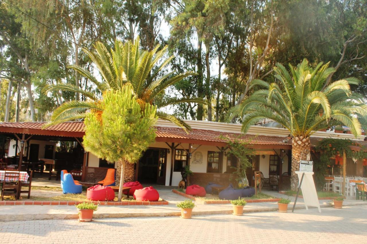 Medusa Camping Πάταρα Εξωτερικό φωτογραφία