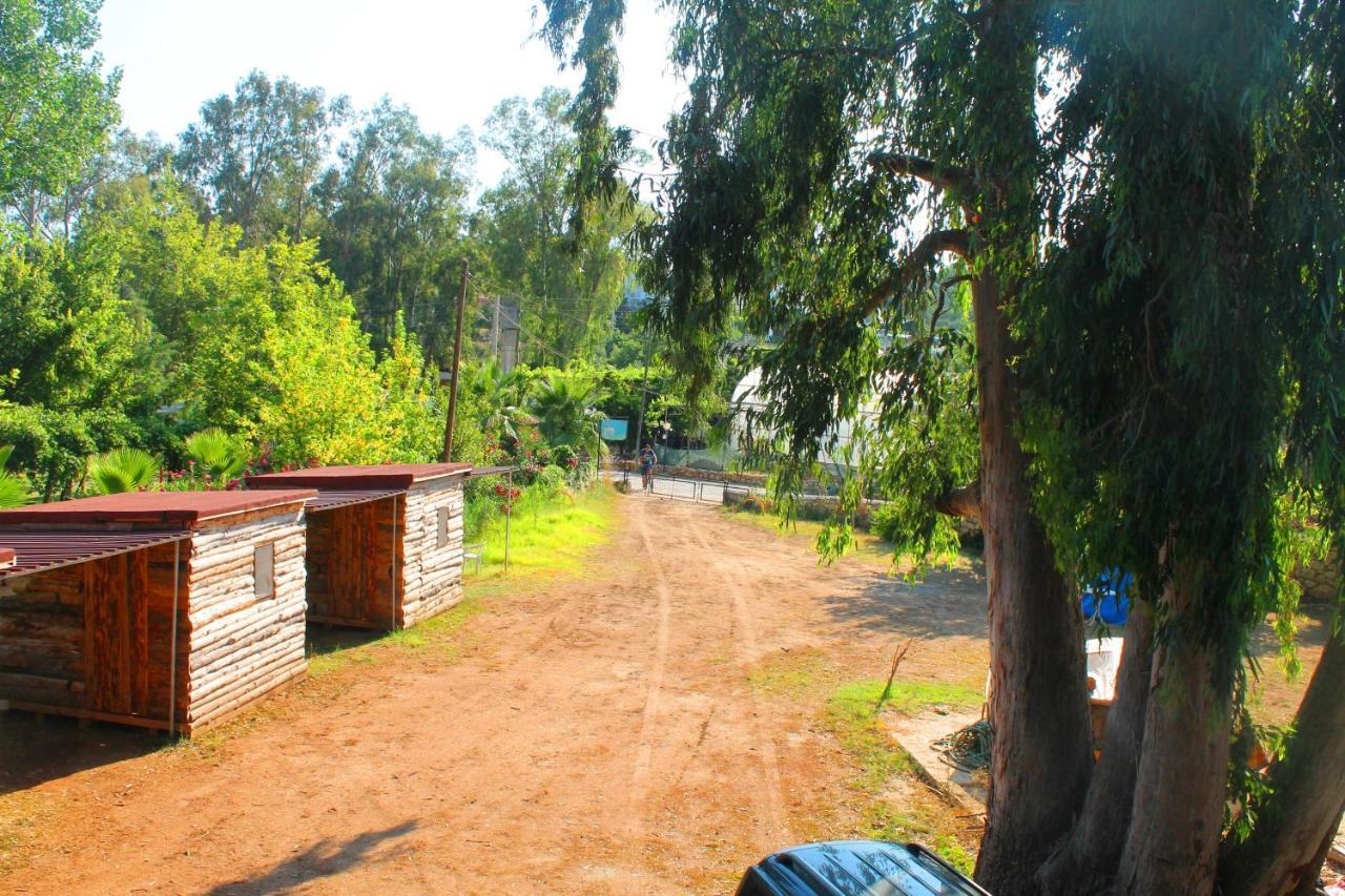 Medusa Camping Πάταρα Εξωτερικό φωτογραφία