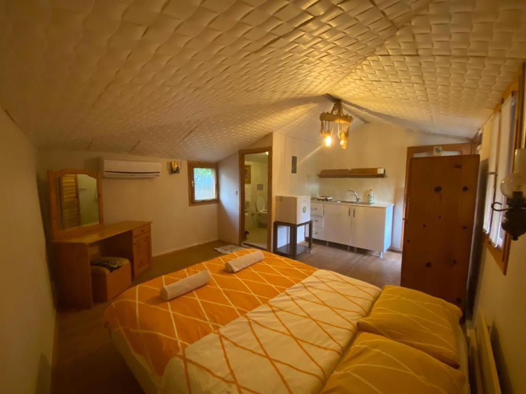 Medusa Camping Πάταρα Εξωτερικό φωτογραφία
